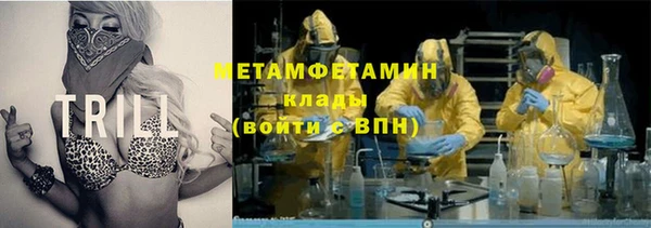 сатива Струнино