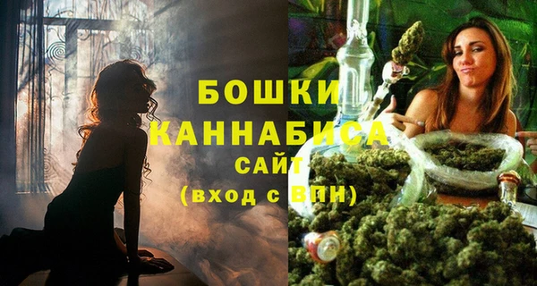 сатива Струнино