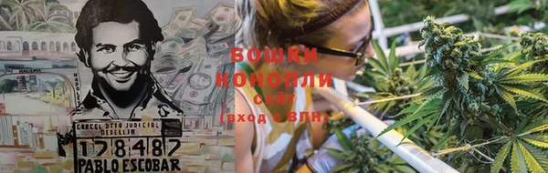 сатива Струнино