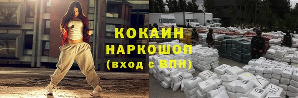 сатива Струнино